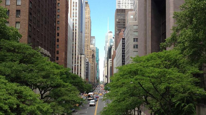 Best Privacy Tools for 2025: Top 10 Apps to Protect Your Data - illustration 3