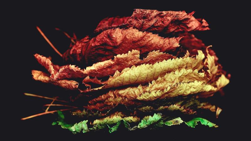 Best VPNs for Online Security in 2025: Top 5 Tested & Trusted - illustration 3