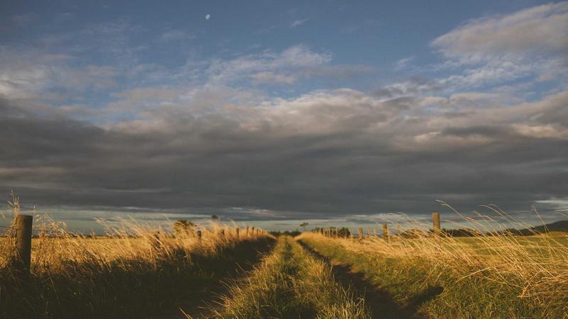 Business VPNs - illustration 2