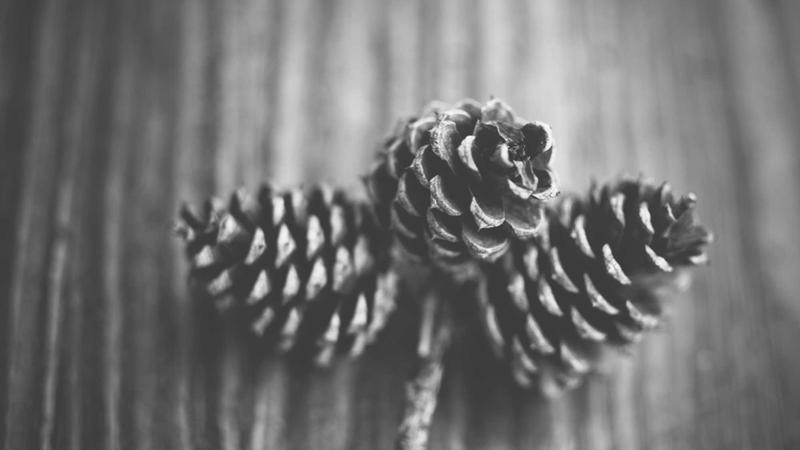 ExpressVPN vs NordVPN for Business: Which Is Better in 2026? - illustration 3