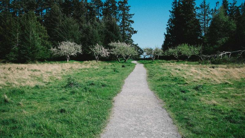 How to Protect Your Online Security on Public Wi-Fi with VPN 2026 - illustration 1