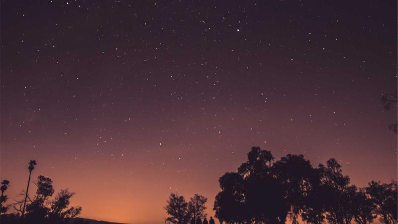 How to Set Up a VPN for Maximum Privacy in 2025: Step-by-Step Guide - illustration 3