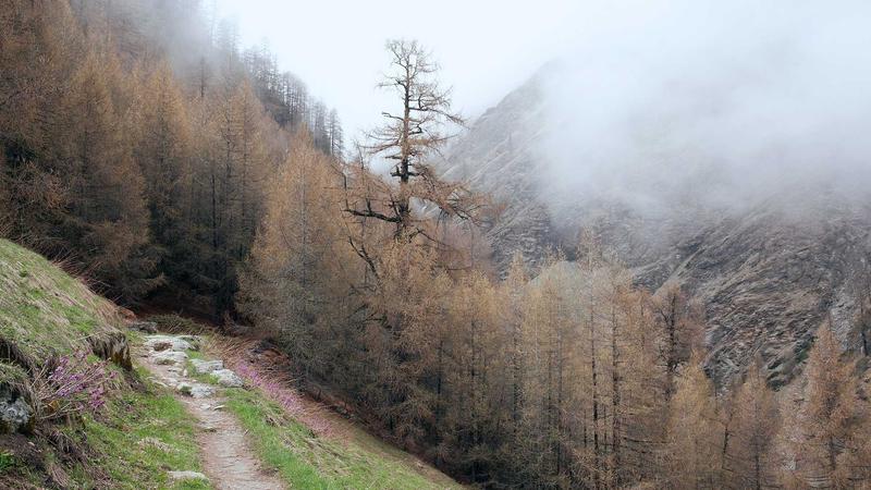 IPVanish vs CyberGhost 2025: Which VPN is Best for P2P Sharing? - illustration 2