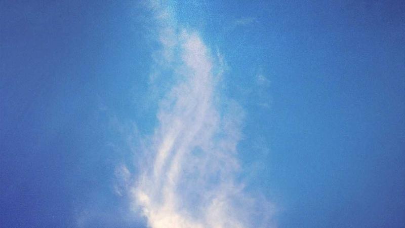 ProtonVPN vs Private Internet Access 2026: Speed & Privacy Test - illustration 1