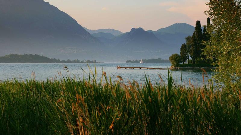 ProtonVPN vs Private Internet Access 2026: Speed & Privacy Test - illustration 2