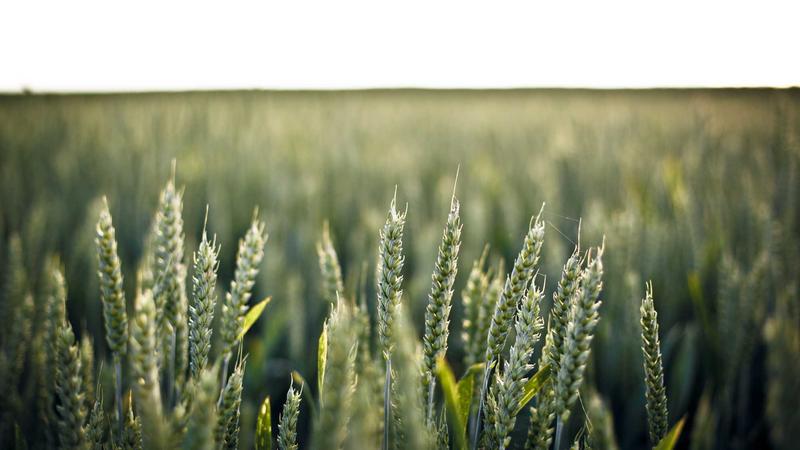 Surfshark Streaming VPN Review 2026: Affordable & Secure for Global TV - illustration 3