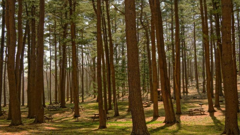 Top 7 Affordable Business VPNs for Small Companies in 2026 - illustration 2