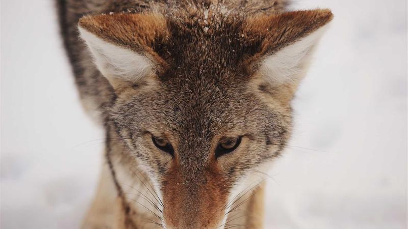 Top 7 Affordable Business VPNs for Small Companies in 2026 - illustration 3