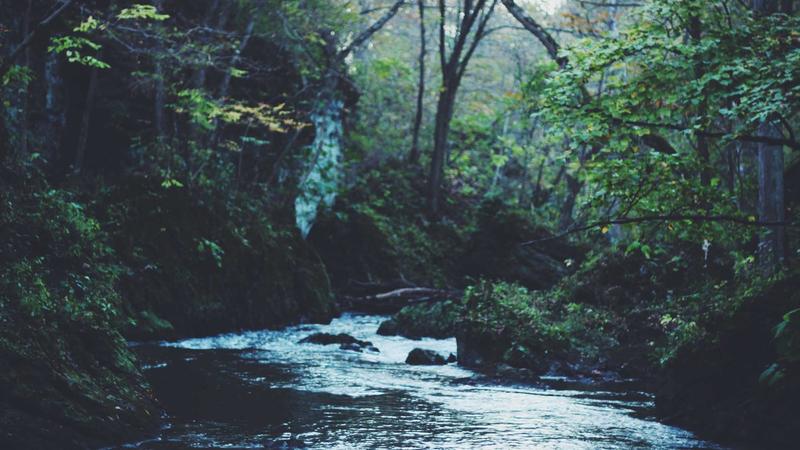 Top 7 Privacy Tools Reviewed: Features, Pricing & Effectiveness 2026 - illustration 3