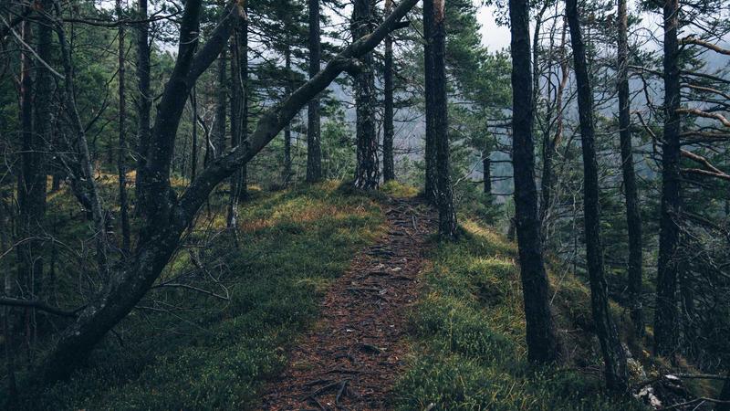 Top 7 VPNs for Small Business Security in 2025: Affordable & Efficient - illustration 2