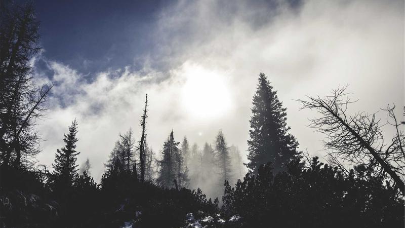 Top 7 VPNs for Small Business Security in 2025: Affordable & Efficient - illustration 3