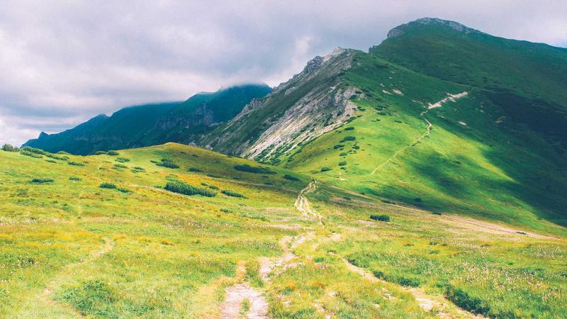 Ultimate Guide to VPN Kill Switches in 2025: Why They Matter - illustration 2