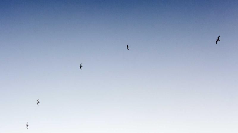 Ultimate Privacy Tools Guide 2025: Protect Your Identity Online - illustration 3