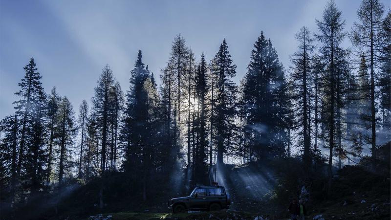 WireGuard vs OpenVPN in 2026: Which Protocol Ensures Better Privacy? - illustration 2